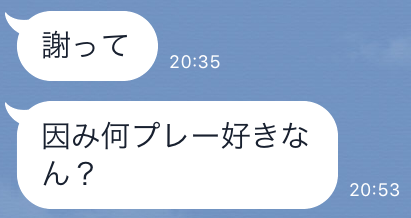 20歳ルックス中の上フェラうまそう・因みに何プレーが好きなの？とメッセージが入る