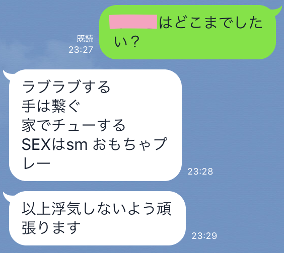 20歳ルックス中の上フェラうまそう・ラブラブ、手は繋ぐ、家でチュー、SEXはsmおもちゃプレー