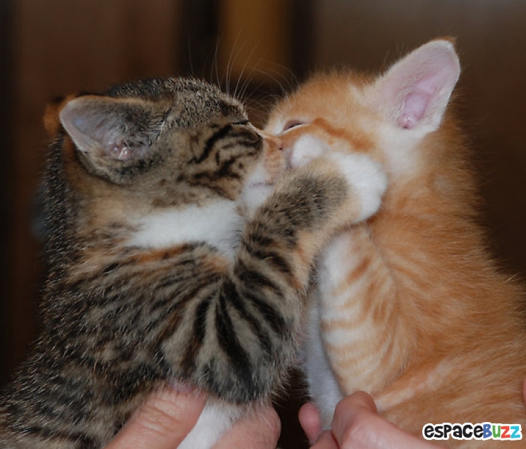 20歳お洒落JD・キス